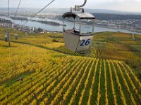 Weinberge Ruedesheim